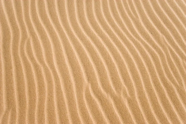 Золотистые песчаные канавки — стоковое фото