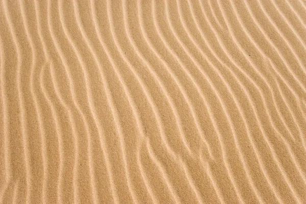 Golden sand spår — Stockfoto