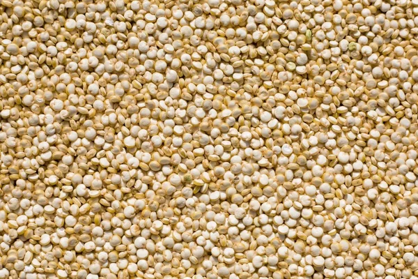 Fundo quinoa — Fotografia de Stock