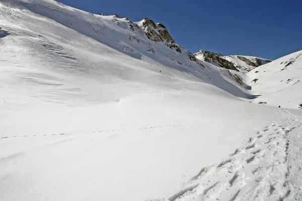 Fotavtryck på snö — Stockfoto