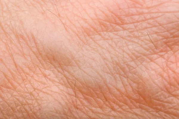 Męskie ramię skóra makro — Zdjęcie stockowe