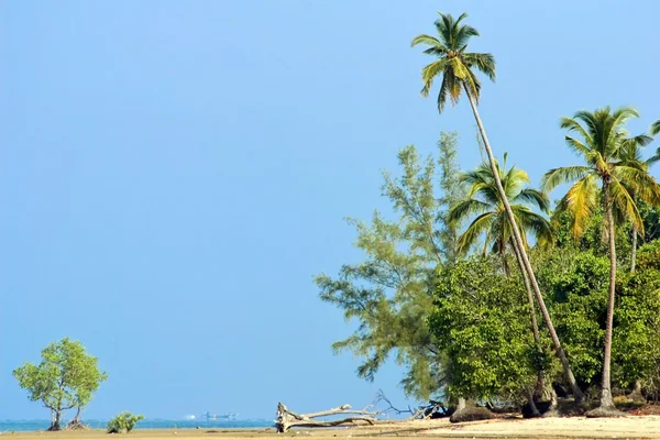 Ilha selvagem — Fotografia de Stock