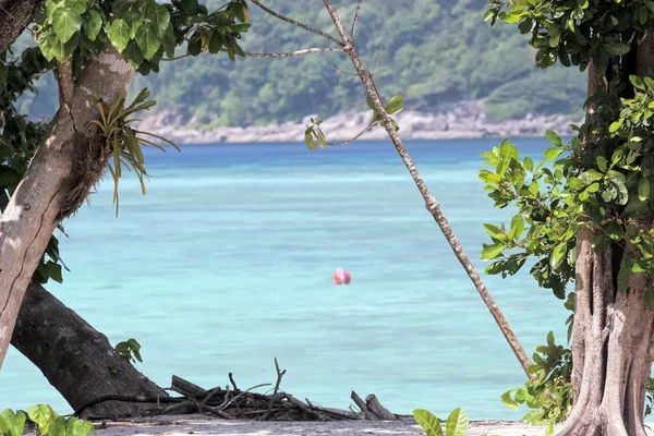 Ostrov tropical beach — стоковое фото