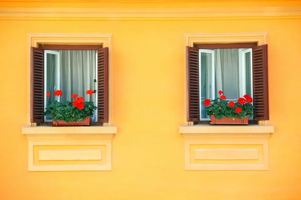 Vivide finestre a parete — Foto Stock