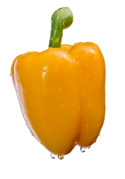 Yellow pepper on White — Stock Photo, Image