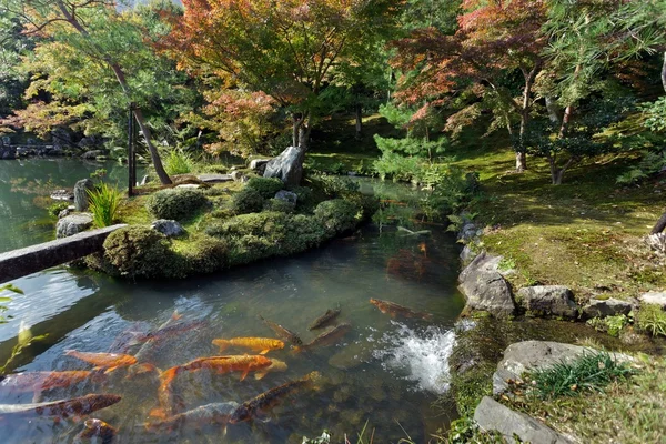 Tenryuji tempel zen tuin — Stockfoto
