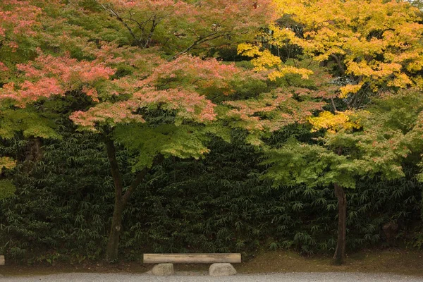 Paisaje de otoño japonés — Foto de Stock