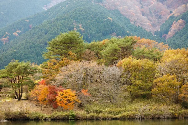 Ιαπωνική χώρα φθινόπωρο — Φωτογραφία Αρχείου