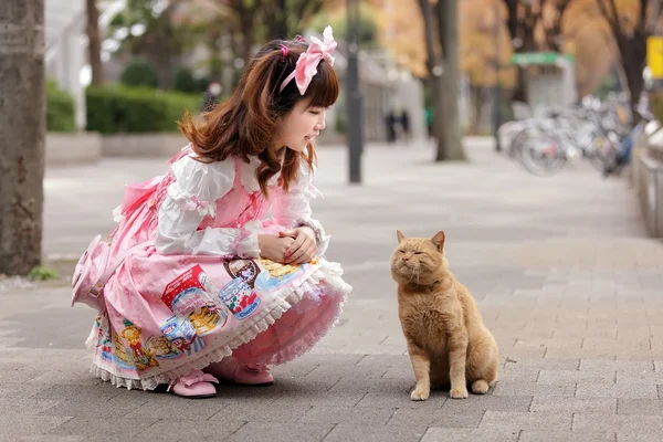 Lolita cosplay e gato — Fotografia de Stock