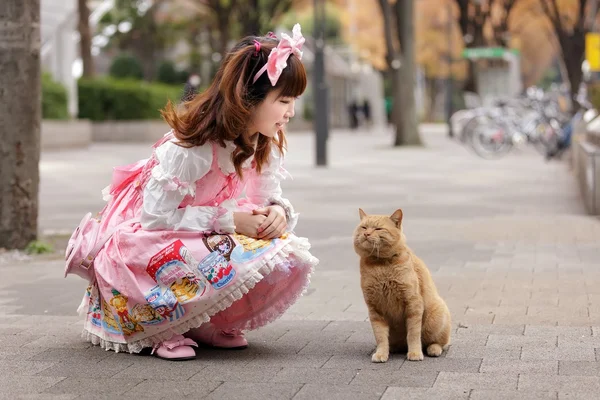 Lolita cosplay ve kedi