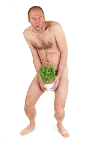 Naakt man en gras — Stockfoto