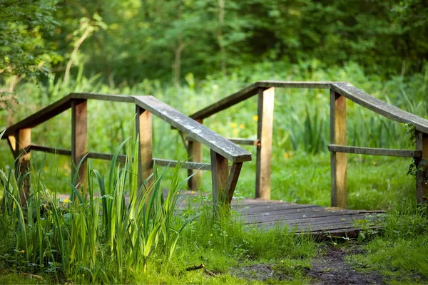 Petit pont en bois — Photo