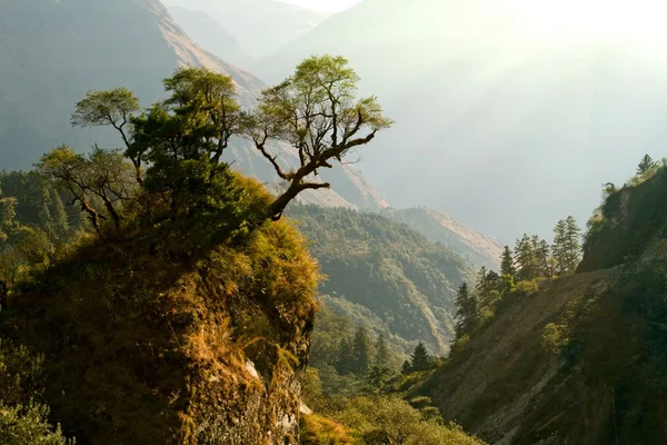 마법에 걸린된 네팔 풍경 — 스톡 사진