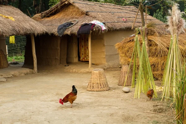 Nepálská farma — Stock fotografie