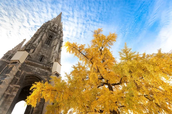 Katedra Iglica za drzewa — Zdjęcie stockowe