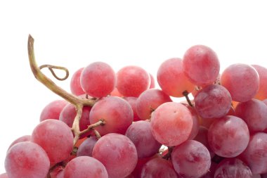 kırmızı üzüm yakın çekim