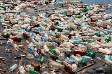 plastik şişe kirliliği