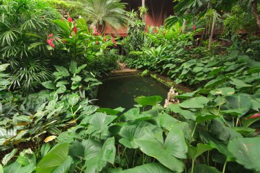tropikal Bahçe