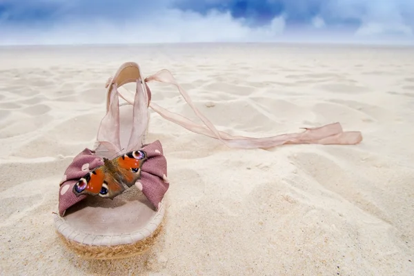 Женская обувь и бабочка — стоковое фото