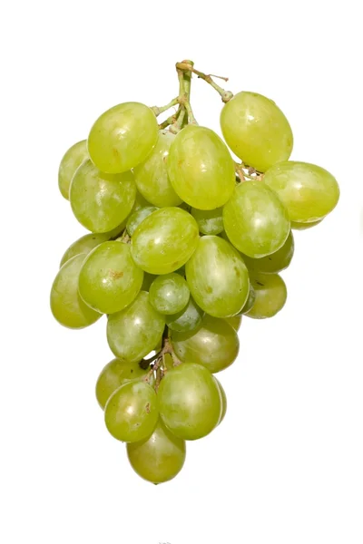 Aglomerado de uvas brancas — Fotografia de Stock