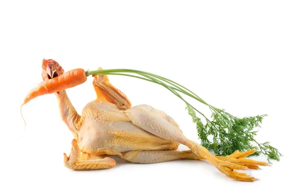 Chicken biting carrot — Stock Photo, Image