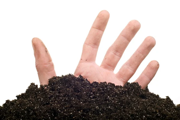 Male hand in soil — Stock Photo, Image
