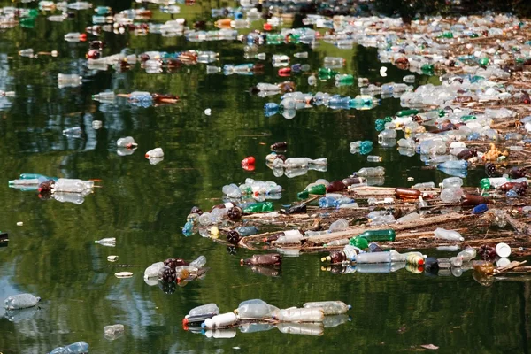 Beautiful landscape ruined by trash pollution, Bicaz lake, Romania — Stock Photo, Image