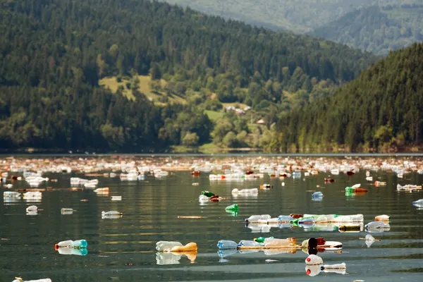 Papperskorgen turism — Stockfoto