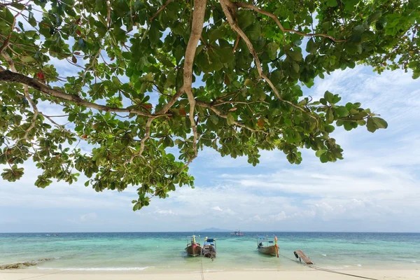 Ko phi phi island beach — Stockfoto