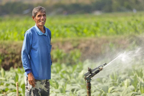 亚洲农夫浇灌植物 — 图库照片