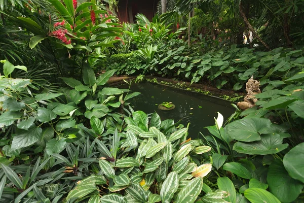 Thai tropical garden — Stock Photo, Image