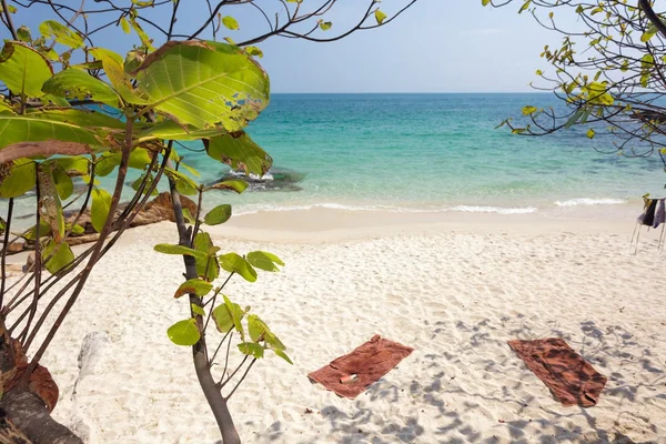 Tropisk strand landskap — Stockfoto