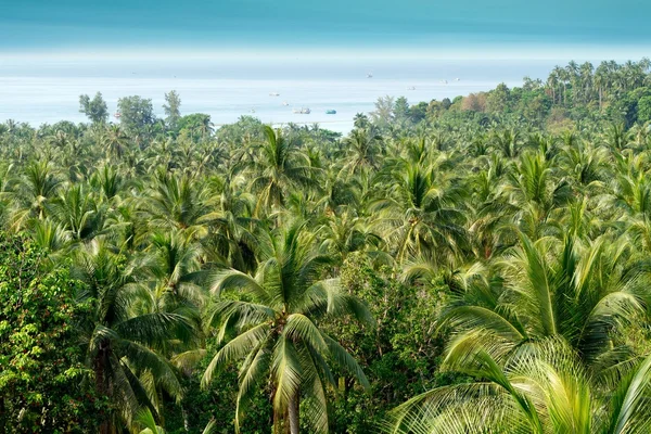 Paysage insulaire tropical — Photo