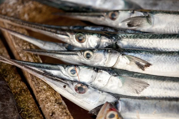 Poissons dans l'étal du marché — Photo