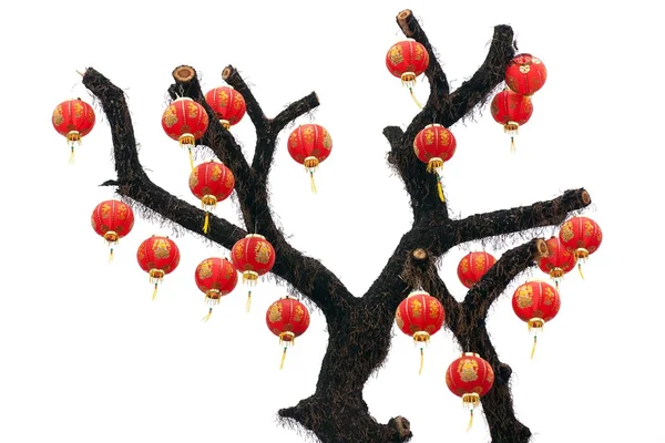 Linterna china en el árbol — Foto de Stock
