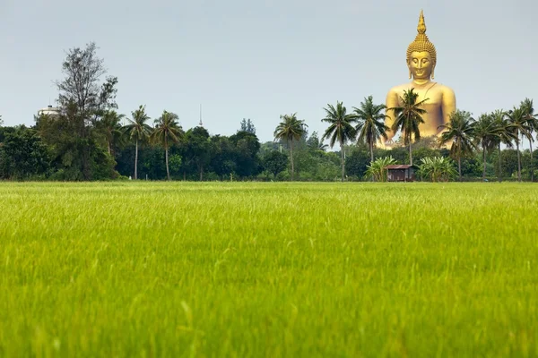 Buddha gigante d'oro — Foto Stock