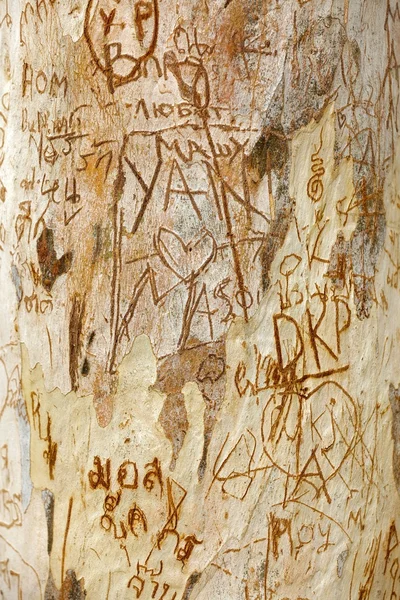 Tronco de árvore esculpida — Fotografia de Stock