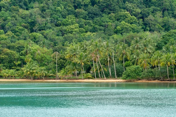 Tropical beach and forest — Stock Photo, Image