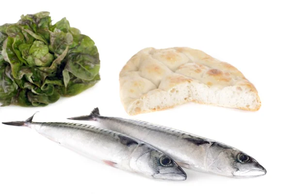 Makrill bröd och sallad — Stockfoto