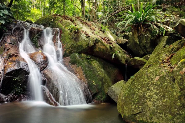 Waterval in het regenwoud — Stockfoto