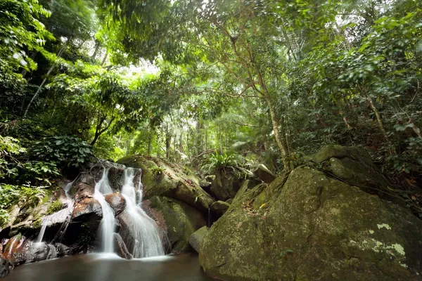 Jungle waterval — Stockfoto