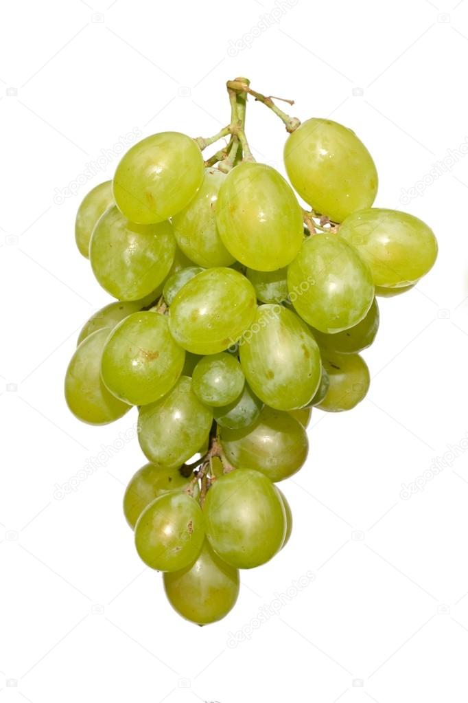 white grape cluster