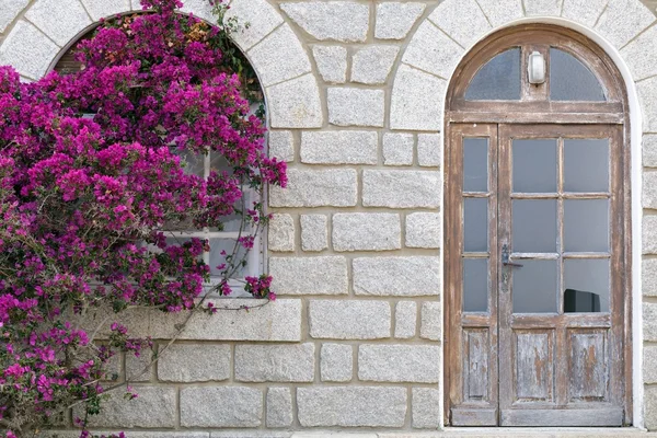 Bougainvillea su casa danneggiata — Foto Stock