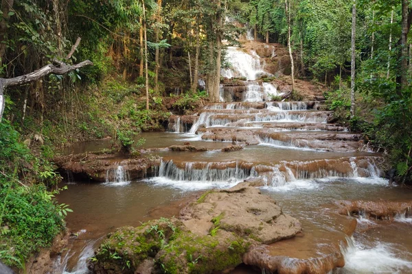 Dschungel und Wasserfall — Stockfoto