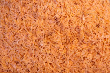 taze karides arka plan