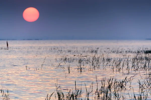 Amanhecer no lago tropical — Fotografia de Stock