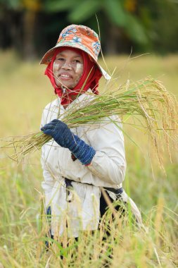 Rice farmer clipart