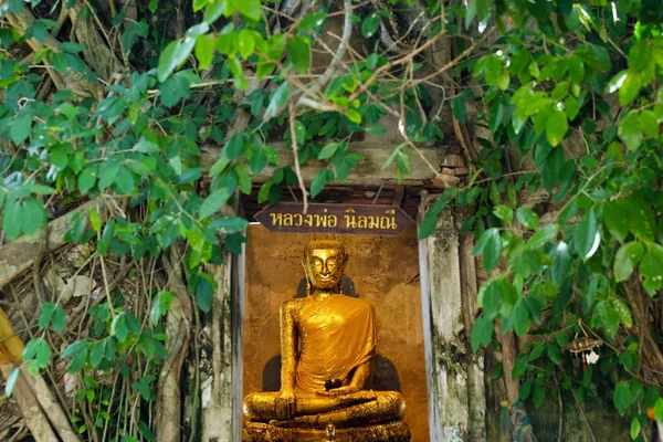 Estatua de buda dorada — Foto de Stock