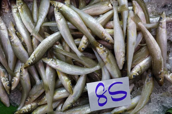 Färska fiskar på marknaden — Stockfoto