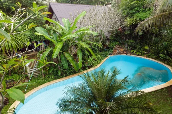 Pool in garden — Stock Photo, Image